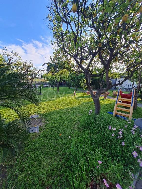 appartamento in affitto a Pomigliano d'Arco