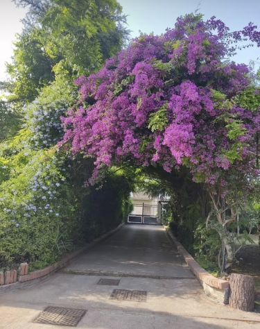 appartamento in affitto a Pompei