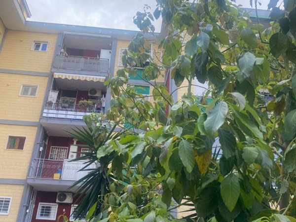 appartamento in affitto a Portici in zona Bellavista