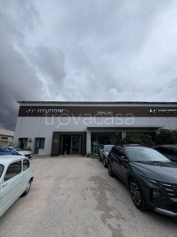 negozio in affitto a Pozzuoli in zona Pisciarelli