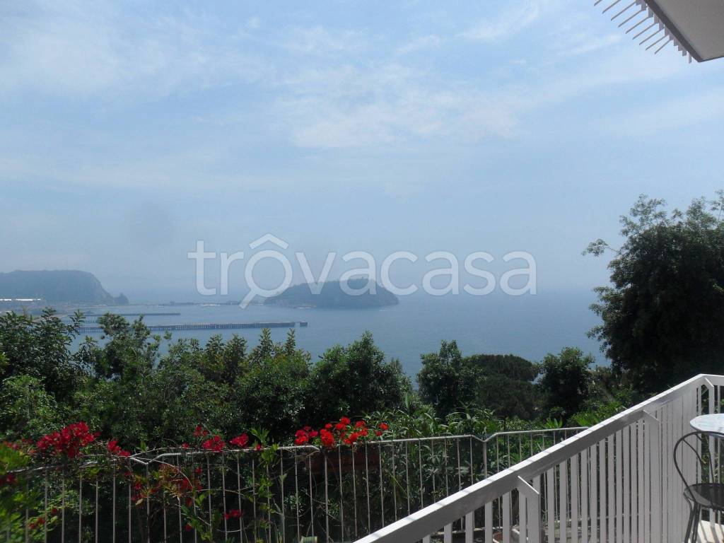 appartamento in affitto a Pozzuoli
