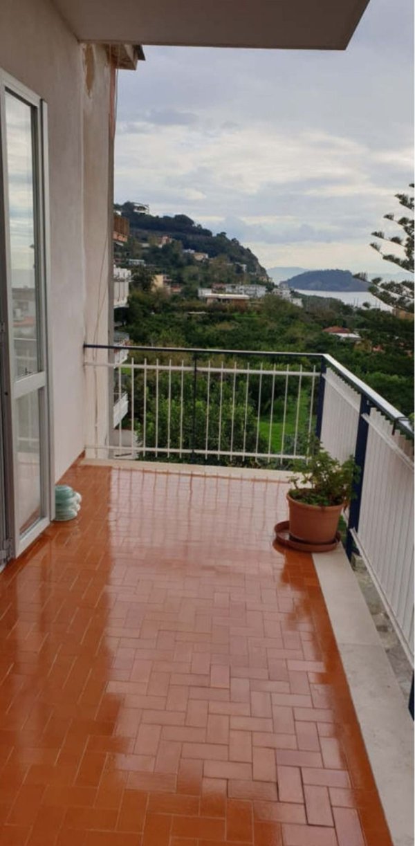 appartamento in affitto a Pozzuoli