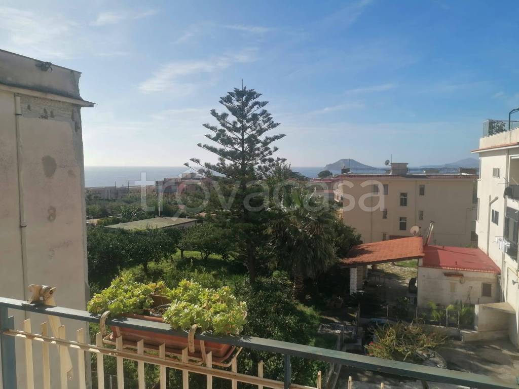appartamento in affitto a Pozzuoli
