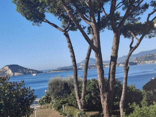 appartamento in affitto a Pozzuoli