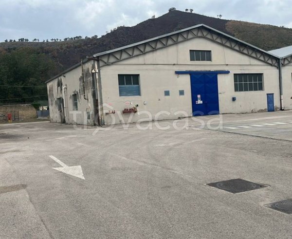 appartamento in affitto a Pozzuoli