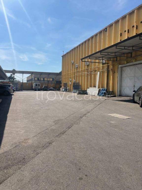 appartamento in affitto a Pozzuoli