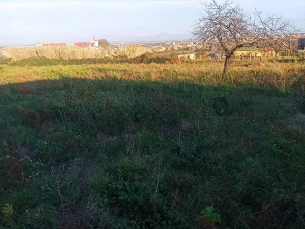 terreno agricolo in affitto a Pozzuoli in zona Monterusciello