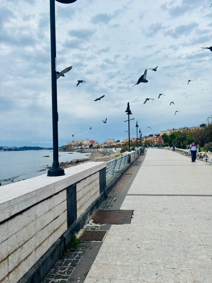 appartamento in affitto a Pozzuoli