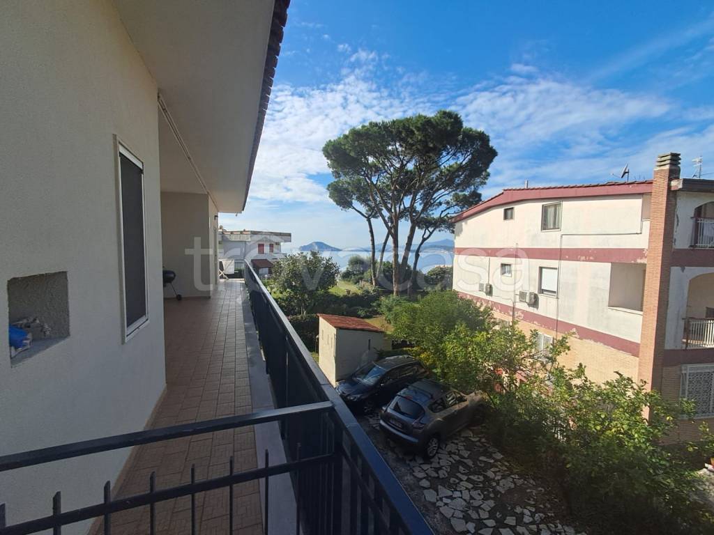 appartamento in affitto a Pozzuoli