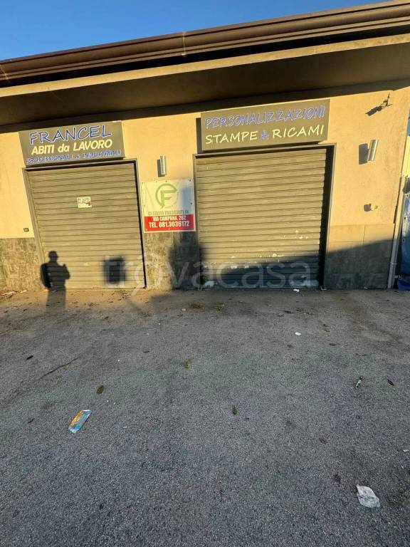 trivano in affitto a Pozzuoli