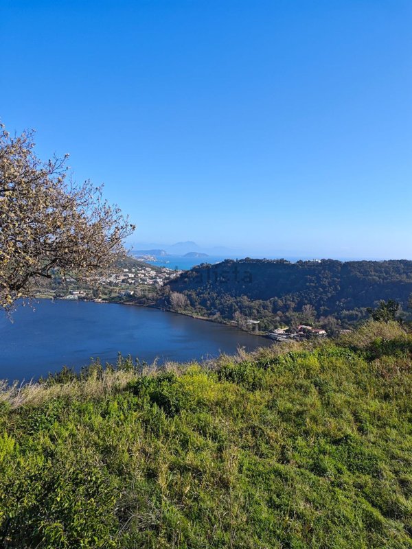 appartamento in affitto a Pozzuoli in zona Cuma