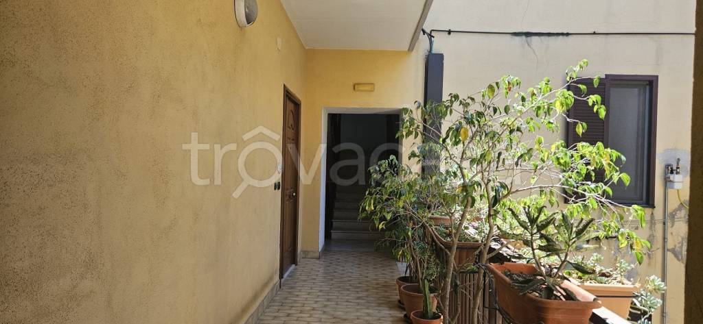 appartamento in affitto a Pozzuoli