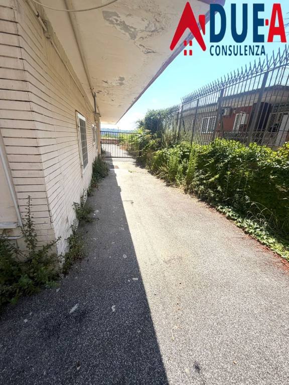 appartamento in affitto a Pozzuoli in zona Licola Lido