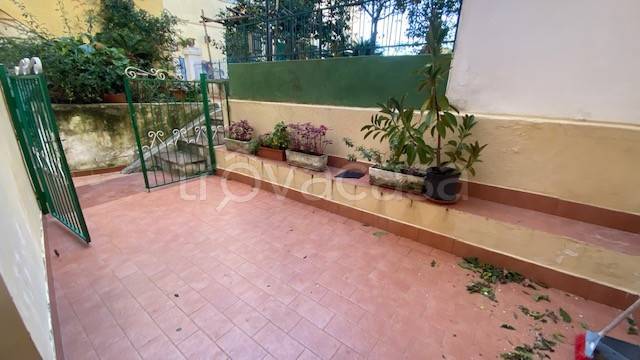 appartamento in affitto a Procida