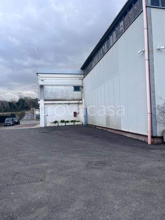 appartamento in affitto a Quarto