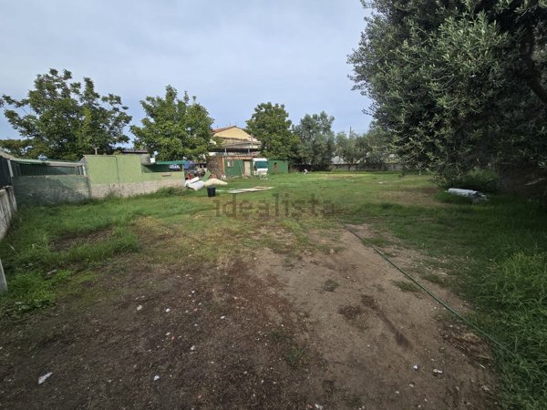 terreno agricolo in affitto a Quarto