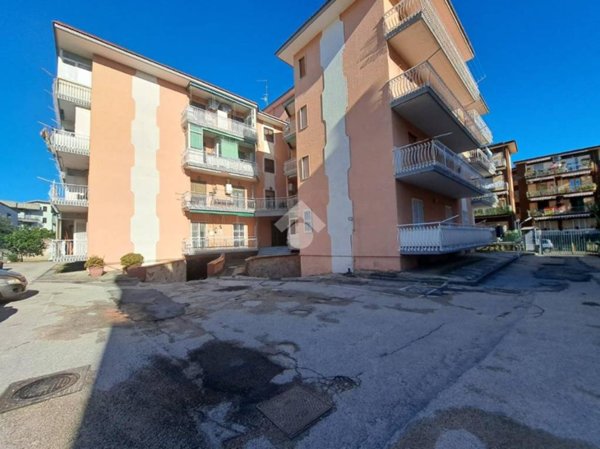 appartamento in affitto a Quarto