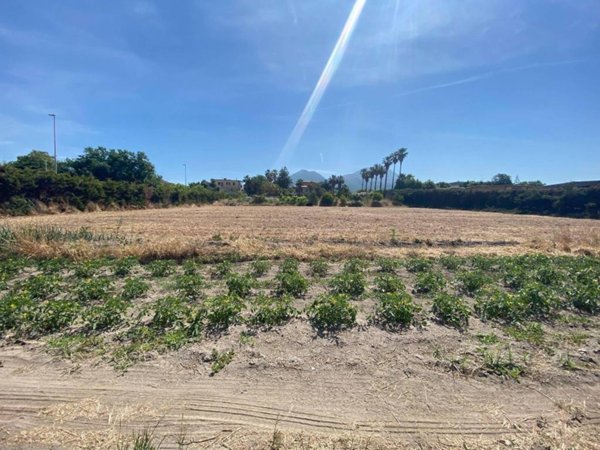 terreno agricolo in affitto ad Ercolano