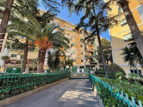 appartamento in affitto ad Ercolano