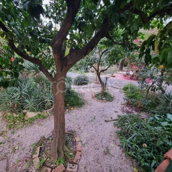 appartamento in affitto a San Gennaro Vesuviano