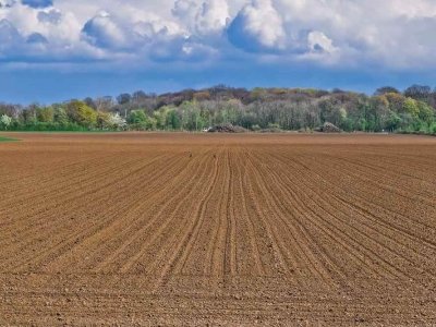 terreno agricolo in affitto a Sant'Anastasia