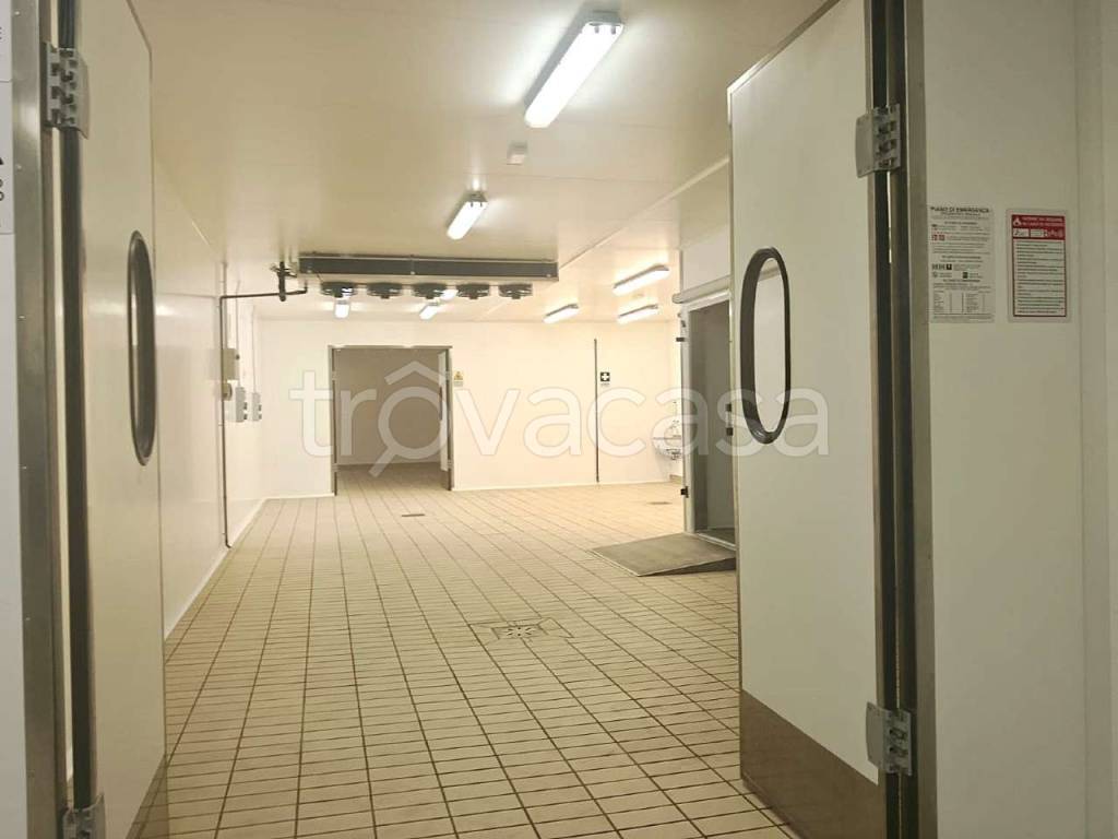 appartamento in affitto a Sant'Anastasia