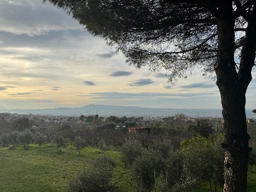 appartamento in affitto a Sant'Anastasia