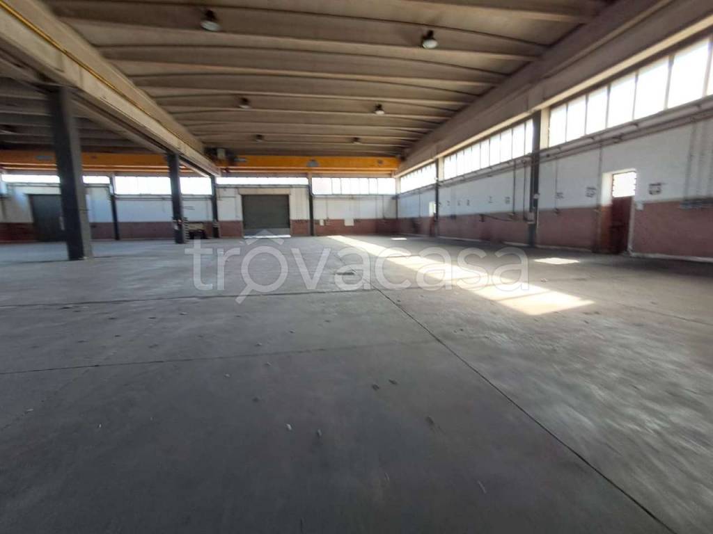 capannone in affitto a San Vitaliano