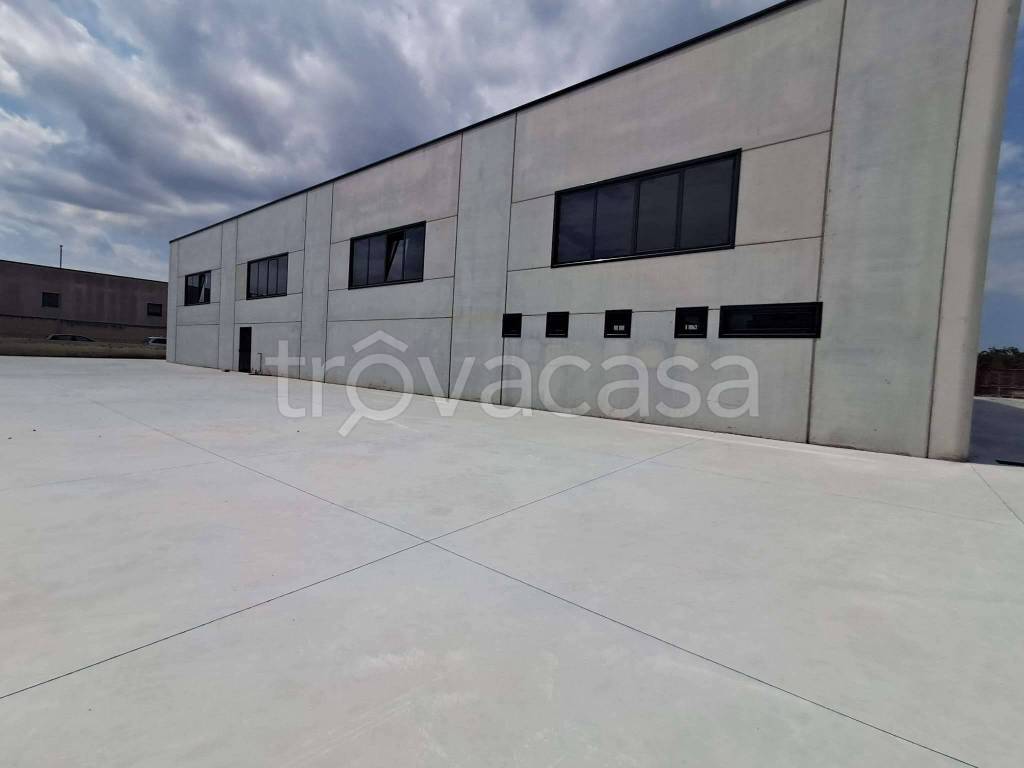 locale commerciale in affitto a San Vitaliano