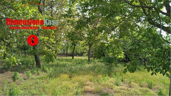 terreno agricolo in affitto a Saviano in zona Tommasoni