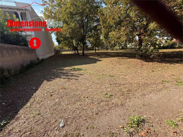 terreno agricolo in affitto a Saviano in zona Tommasoni