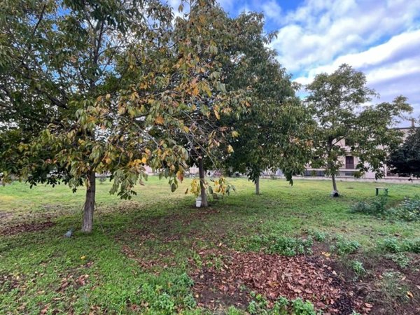terreno agricolo in affitto a Saviano