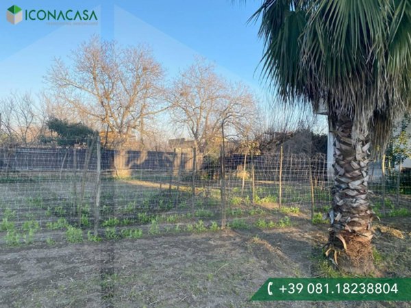 casa indipendente in affitto a Scisciano in zona Camaldoli