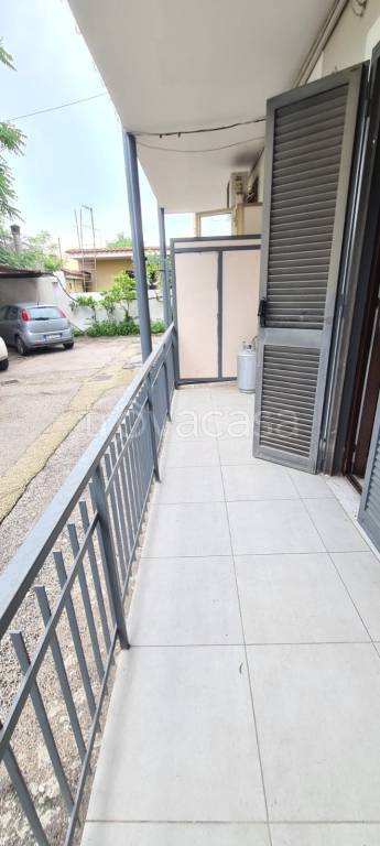 appartamento in affitto a Scisciano in zona Spartimento