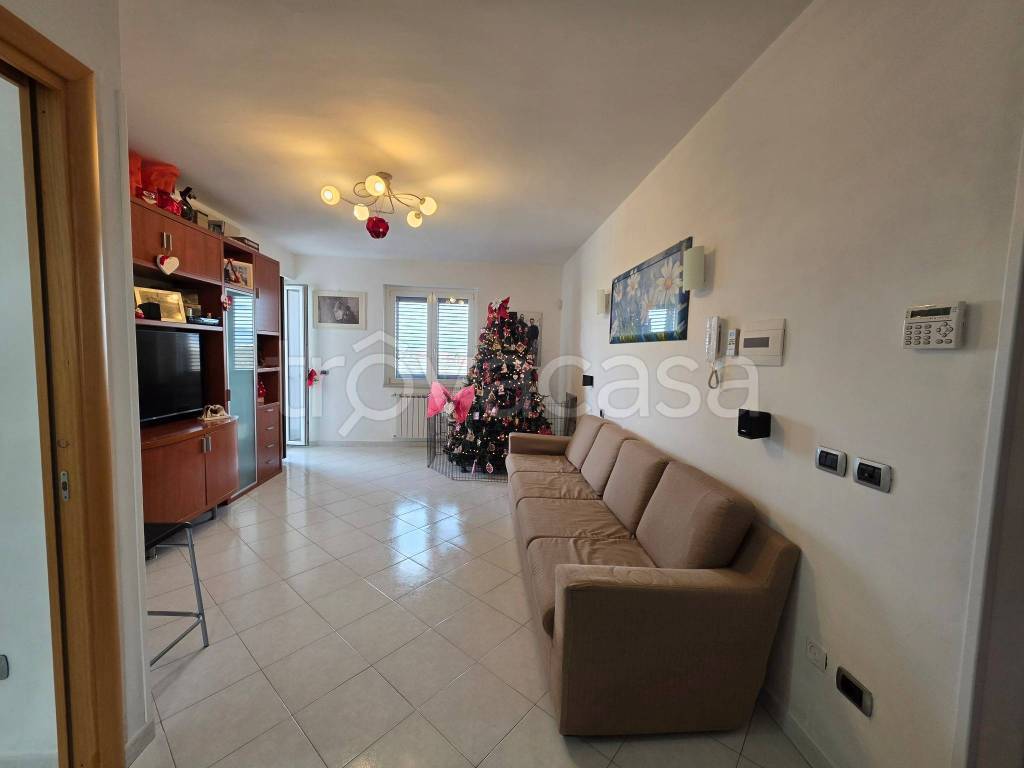 appartamento in affitto a Scisciano