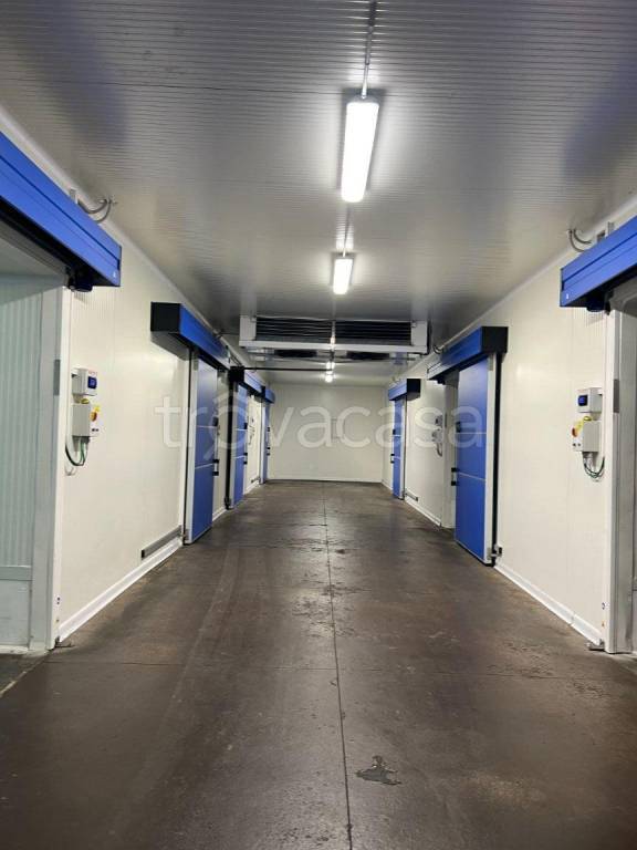 locale commerciale in affitto a Somma Vesuviana
