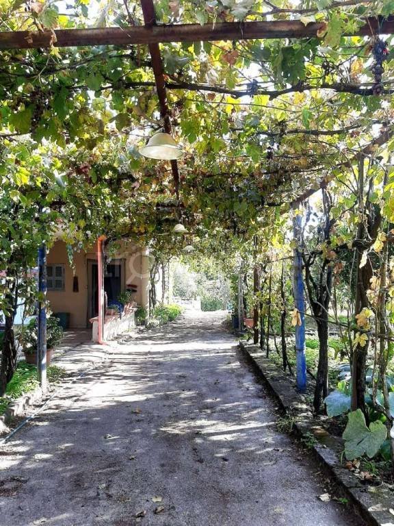 casa indipendente in affitto a Somma Vesuviana