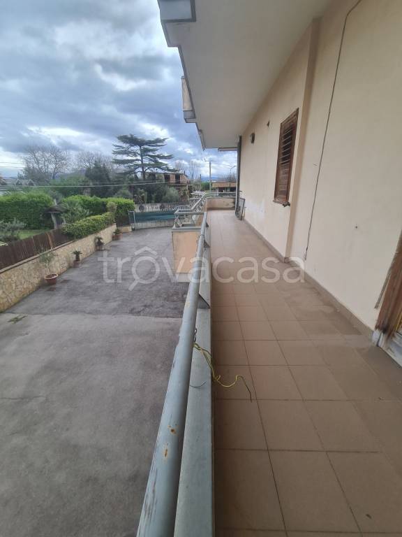 appartamento in affitto a Somma Vesuviana
