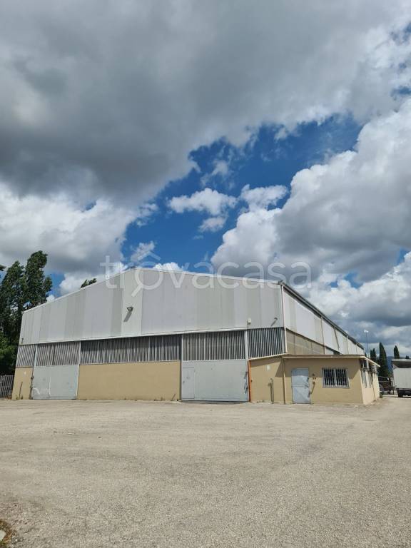 locale commerciale in affitto a Somma Vesuviana