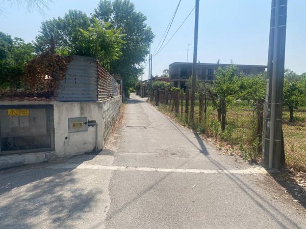 terreno agricolo in affitto a Somma Vesuviana