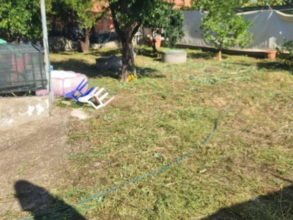 appartamento in affitto a Somma Vesuviana