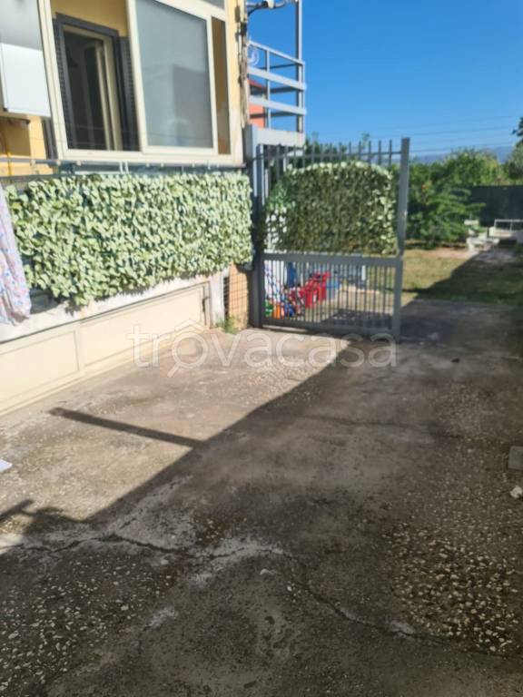 appartamento in affitto a Somma Vesuviana