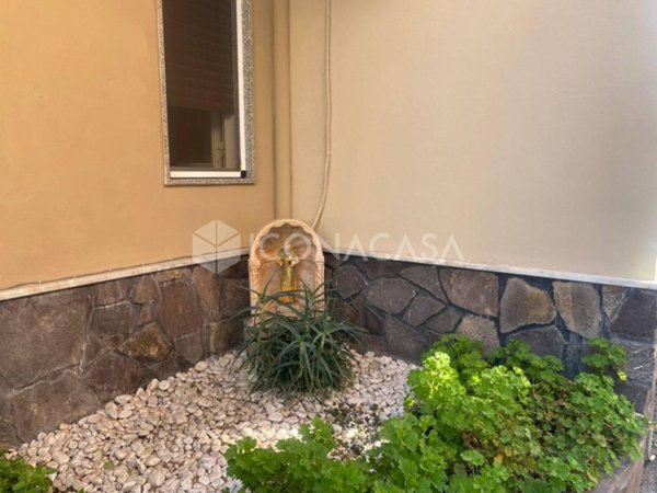 immagine annuncio 0 di 15