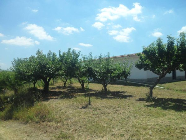 negozio in affitto a Somma Vesuviana in zona San Sossio