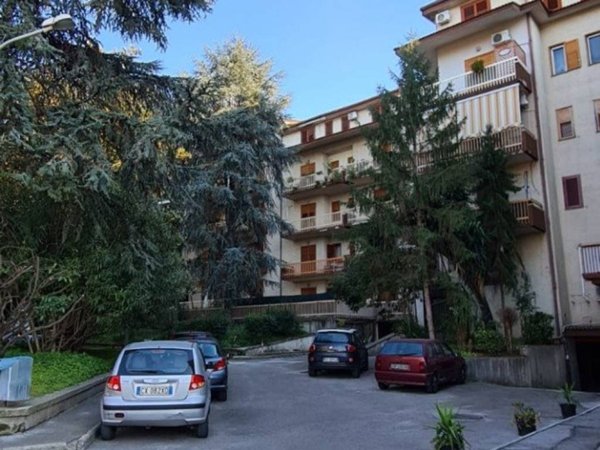 appartamento in affitto a Somma Vesuviana