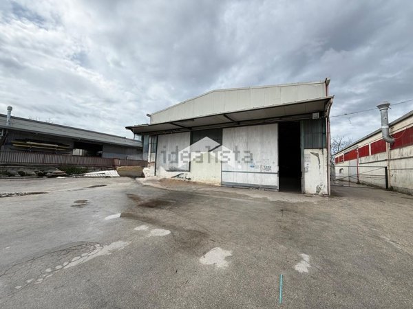 immagine annuncio 0 di 1