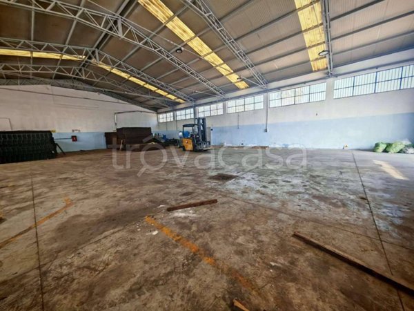 appartamento in affitto a Somma Vesuviana