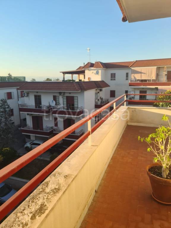 appartamento in affitto a Somma Vesuviana