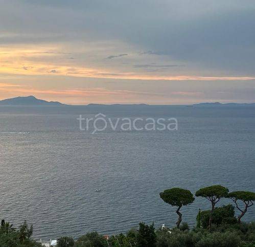 negozio in affitto a Sorrento