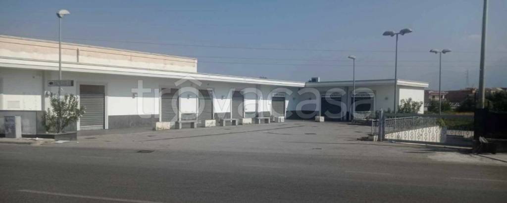 negozio in affitto a Torre Annunziata